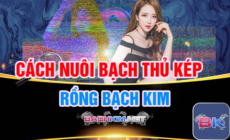 Bạch thủ kép ⭐️ Cách soi cầu bạch thủ kép hôm nay 398 Bạch thủ kép