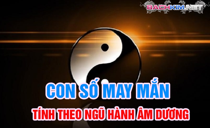 Cập nhật ngay con số may mắn hôm nay tại Rồng Bạch Kim 6 Con số may mắn ngày hôm nay tính theo âm dương ngũ hành