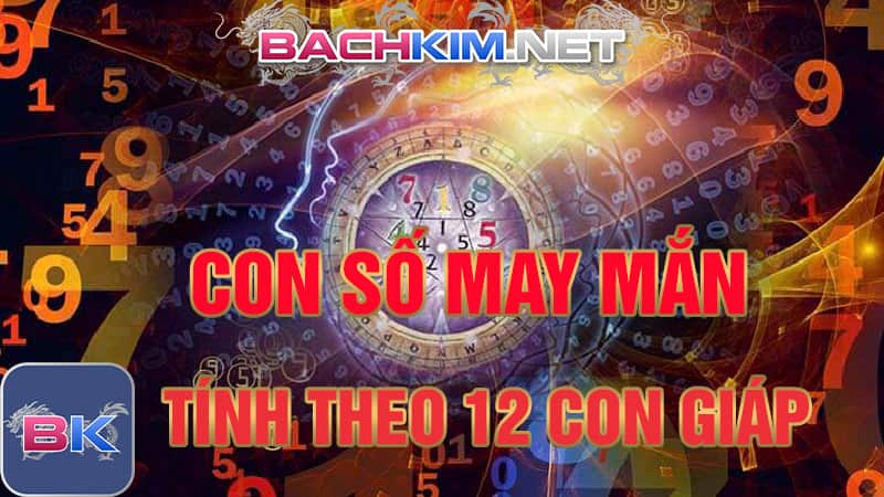 Cập nhật ngay con số may mắn hôm nay tại Rồng Bạch Kim 7 Con số may mắn 12 con giáp