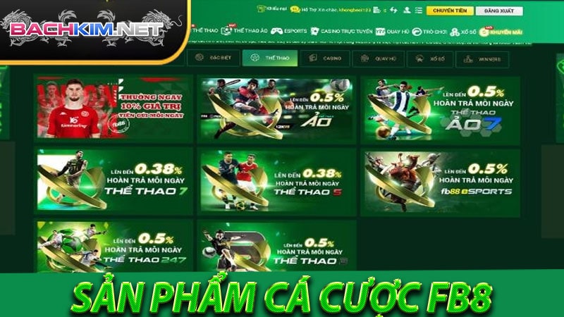 Những sản phẩm cá cược đứng đầu nhà cái fb88