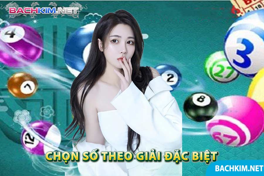 Cách bắt lô kép theo ngày - Kinh nghiệm bắt lô kép siêu chuẩn 7 Chọn số theo giải đặc biệt