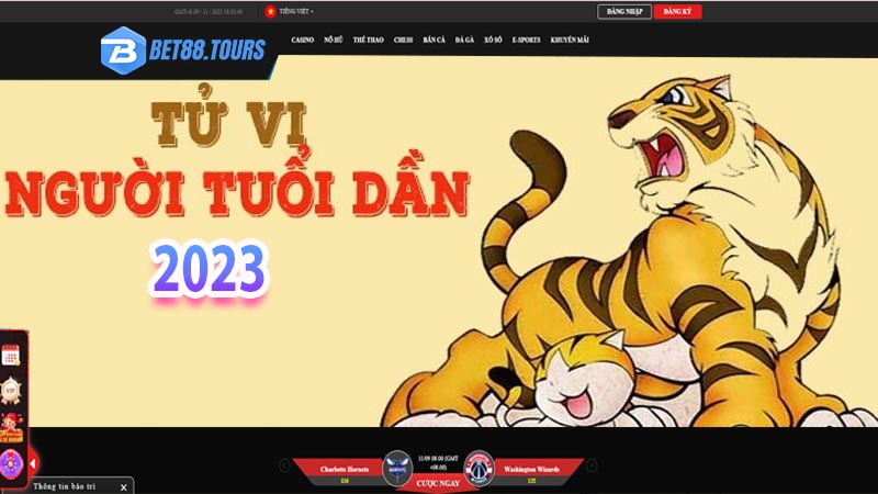 Người tuổi Dần hôm nay đánh số mấy để đổi vận và phát lộc phát tài 5 Tử vi người tuổi dần 2023